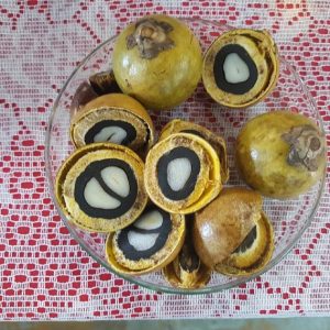 Macaúba: uma joia desvalorizada