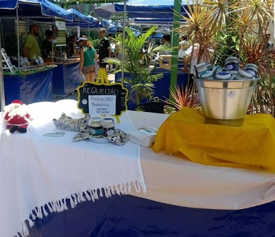 #tbt Territórios – Festival Jabuticaba – Pitza Solidária – Feira Saudável